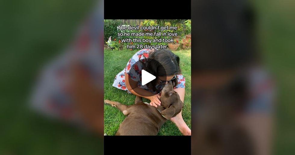 pet grief, losing a pet, pet memorial, humane euthanasia, rescue dog