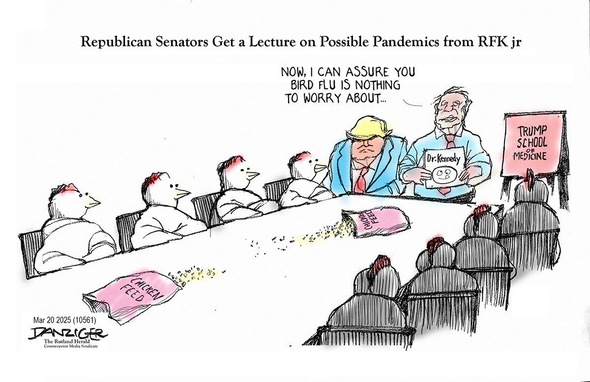 Danziger Draws