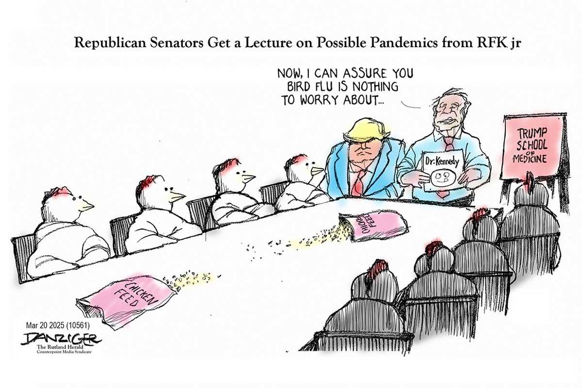 Danziger Draws