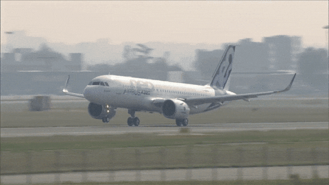 airplane, flying, airports, planes, passengers, pilots