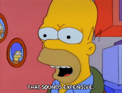adulthood, adult, money, expenses, cost, saving, budget