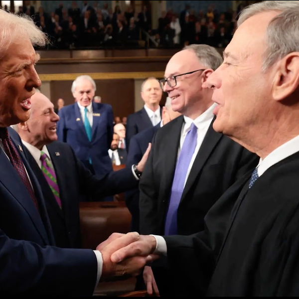 Trump's Incredibly Inept Attempt To Destroy Our Government Is Losing In Court