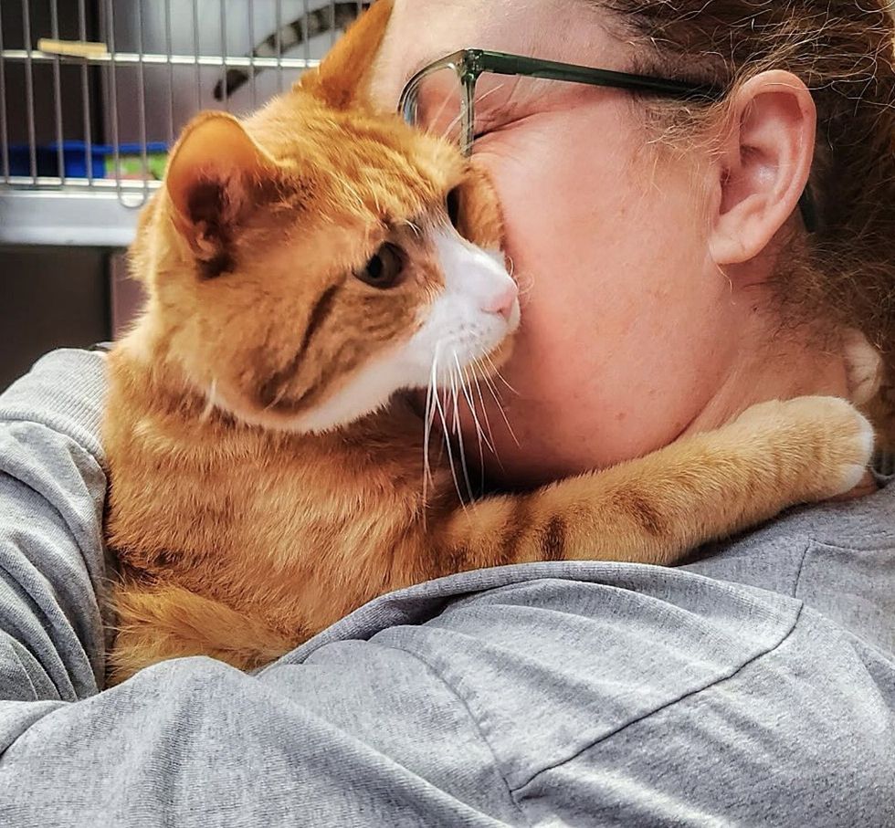 shelter cat hugs volunteer