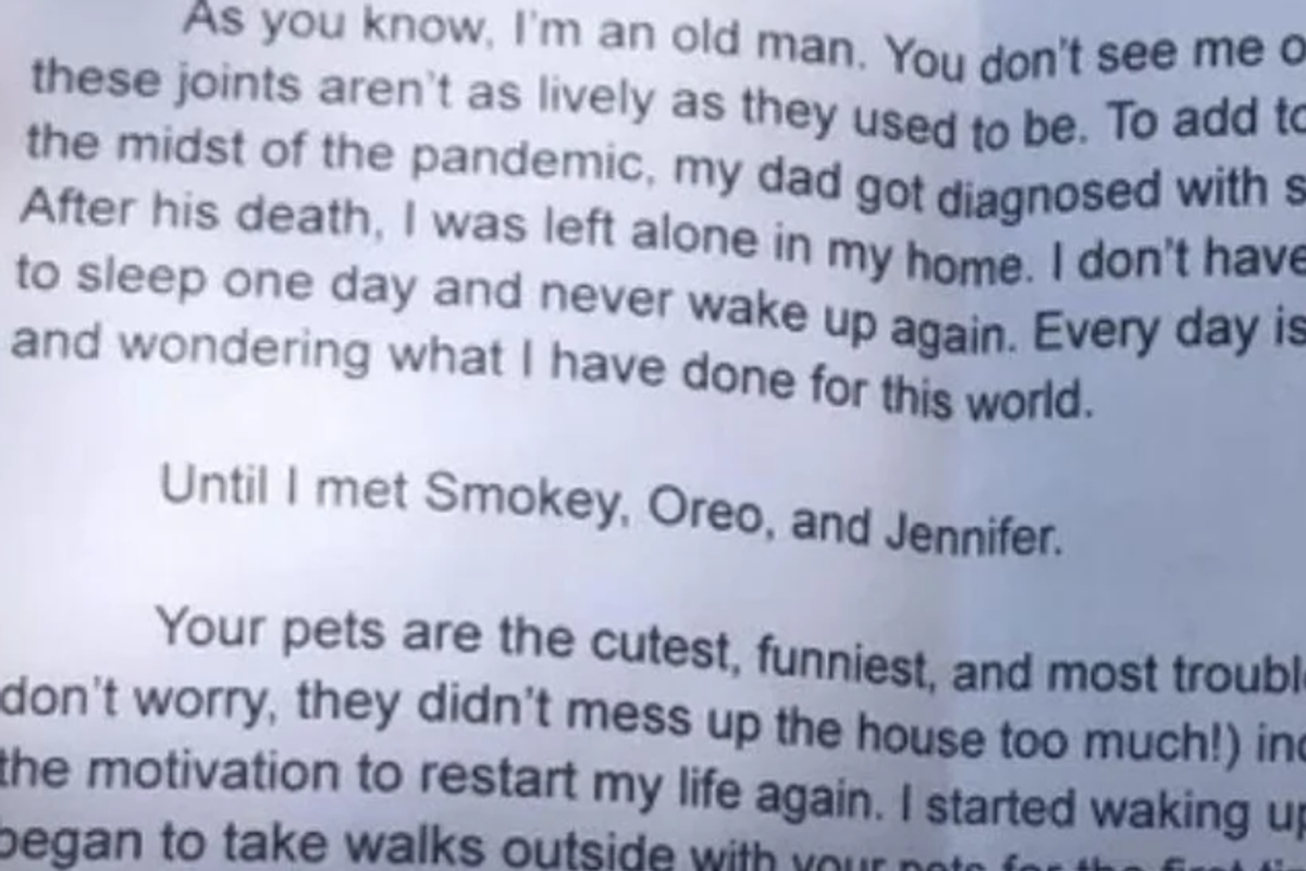 old age, pets, loneliness, dogs, neighbors, senior citizens, letters