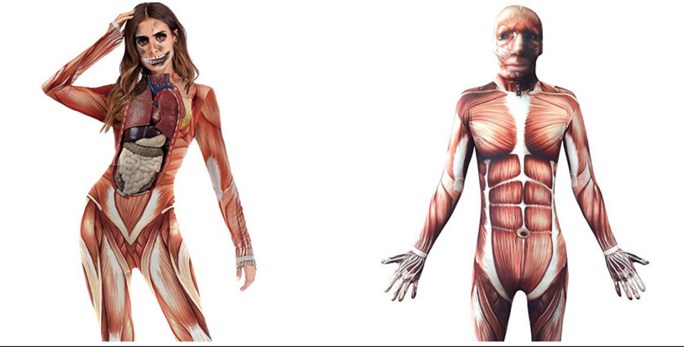 anatomy, anatomical suit, teachers, science, cool teachers, science class, amazon