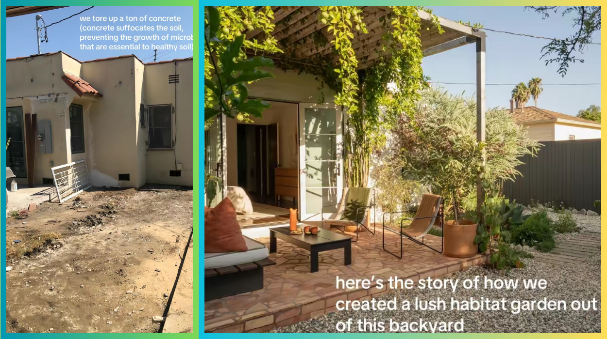 backyard, boring, dilapidated, renew, makeover, new, patio 