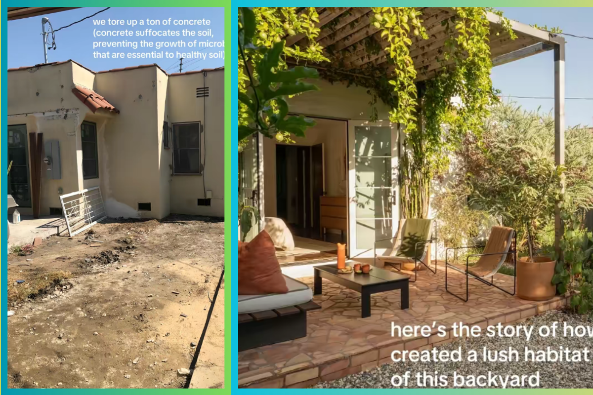 backyard, boring, dilapidated, renew, makeover, new, patio