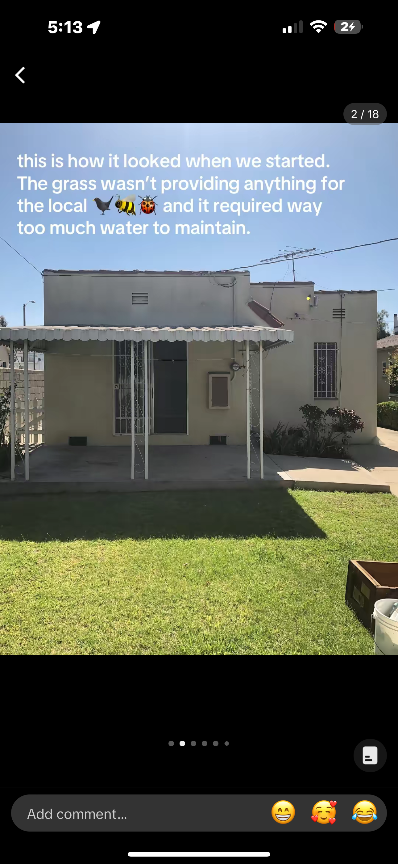 grass, backyard space, bare, old, before picture