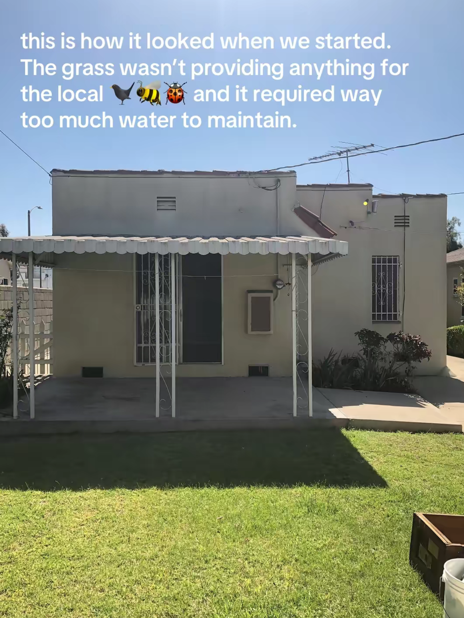 grass, backyard space, bare, old, before picture