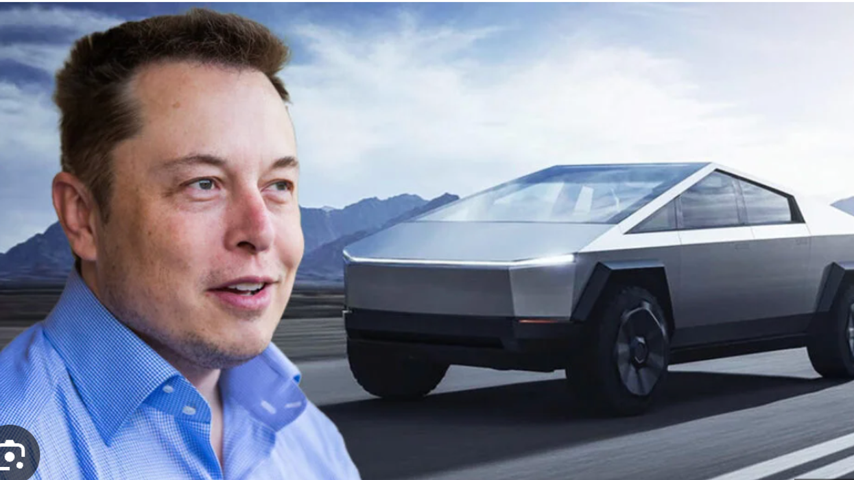 Tesla Admits Musk's Politics Behind 71 Percent Revenue Crash - National