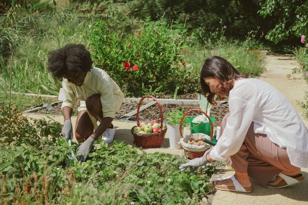 helping in the garden, volunteering, being helpful, contributions journal