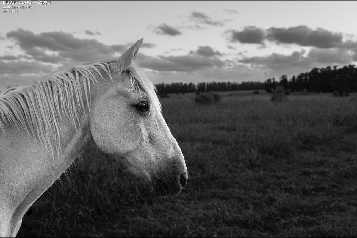 Julian Lennon in mostra a Milano