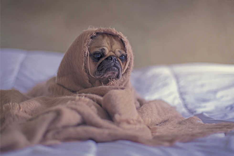 bed-rotting, hurkle-durkling, bed rot, hurkle durkle, rest, burn out