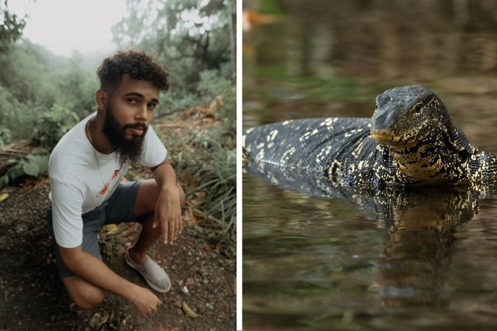 Man builds small pond in the Brazilian forest and the life it attracts is incredible