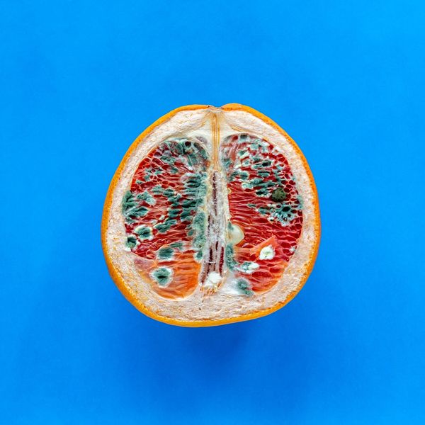 Do You Get More Yeast Infections In The Spring? There's A Reason For That.