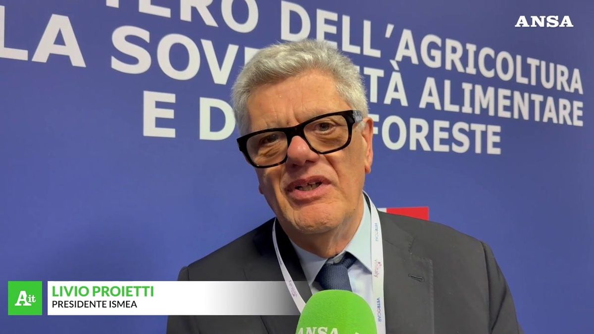 Vinitaly, Ismea: «L'Italia dei vini vale 14 miliardi»