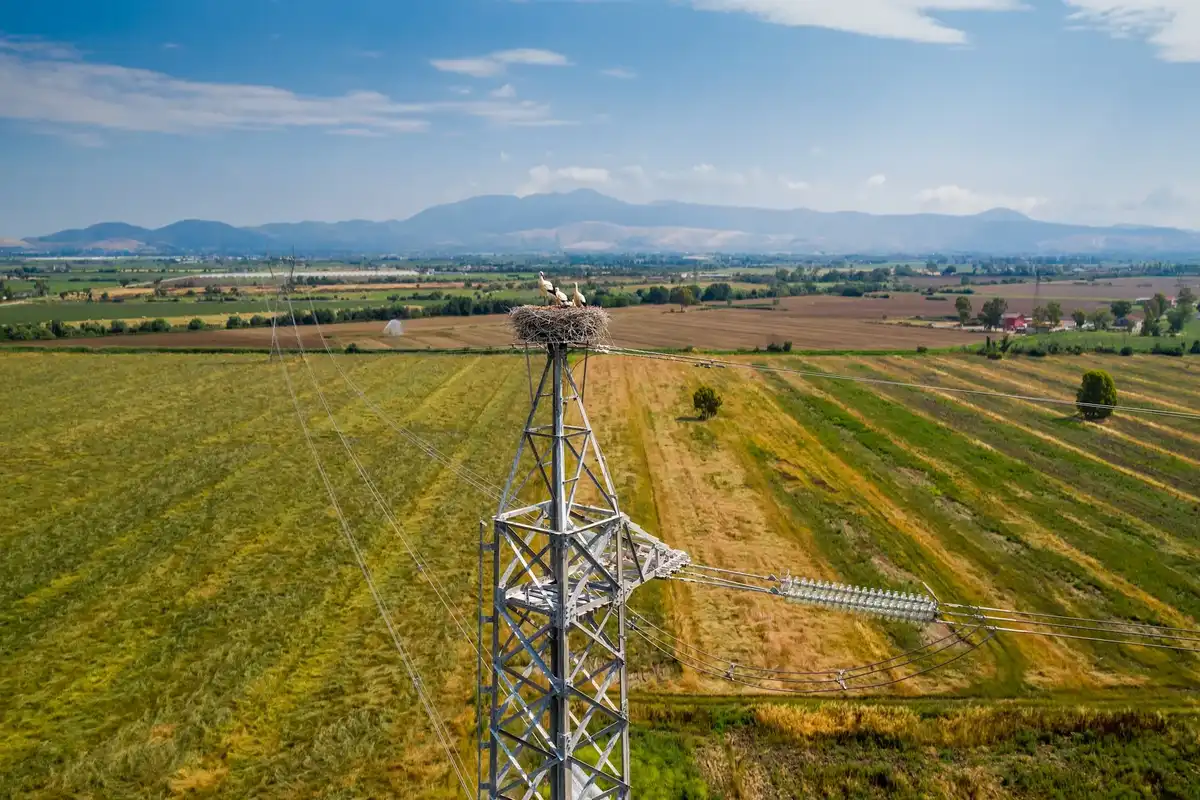 Rete politecnica di alta competenza e un nuovo master: i progetti Terna