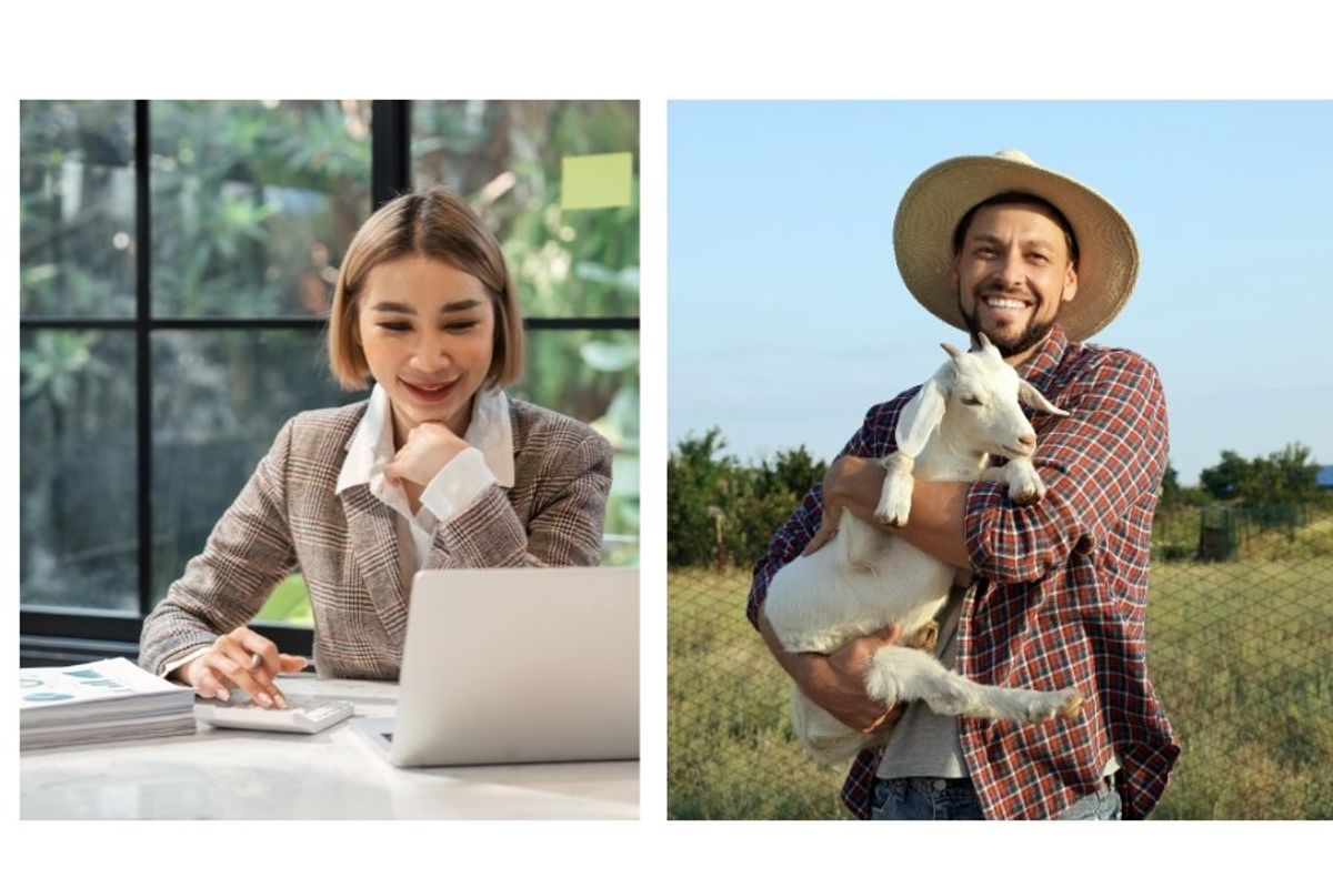 jobs, gen z, accountants, farmers, workers, working