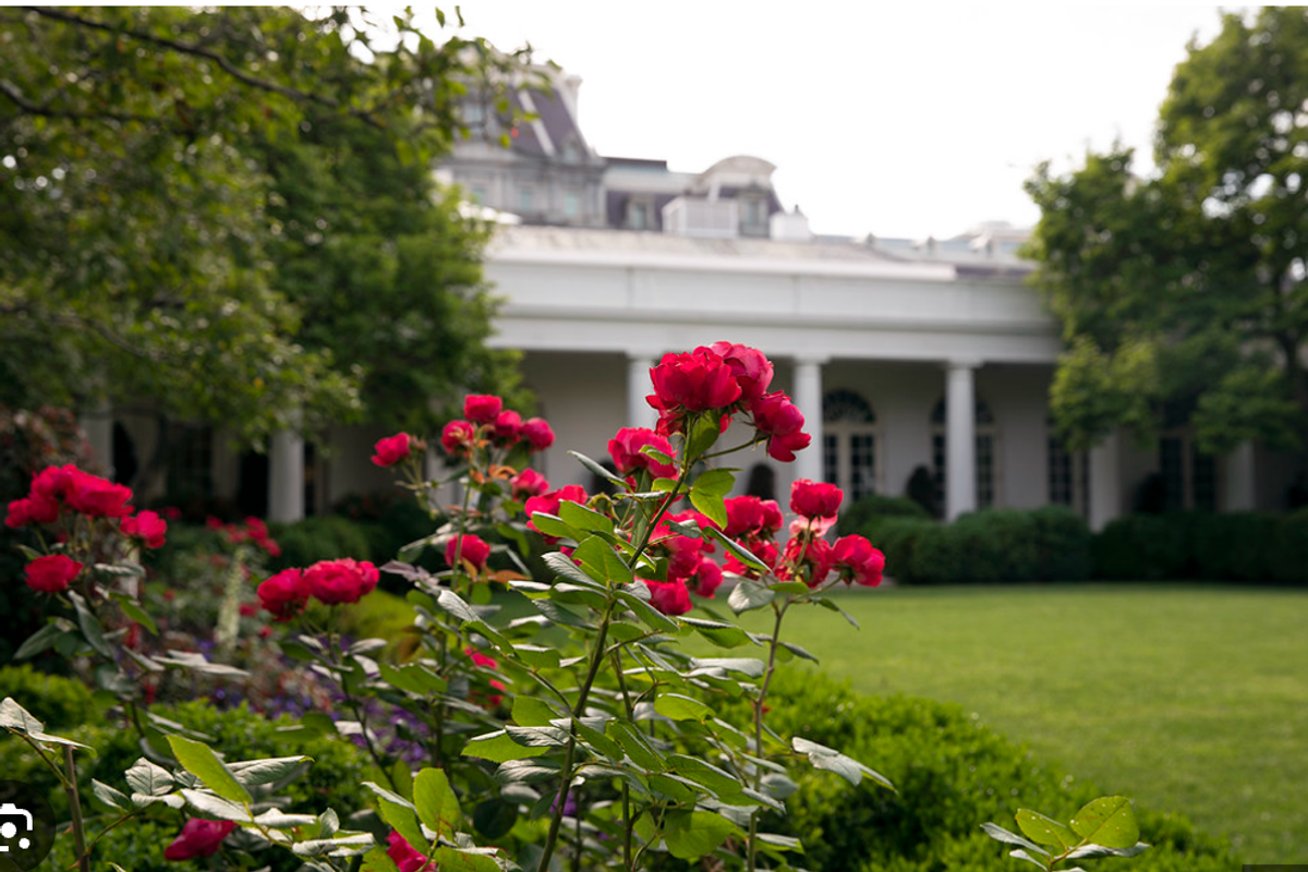 Trump Is Vandalizing The White House In Tacky Mar-A-Lago 'Style'