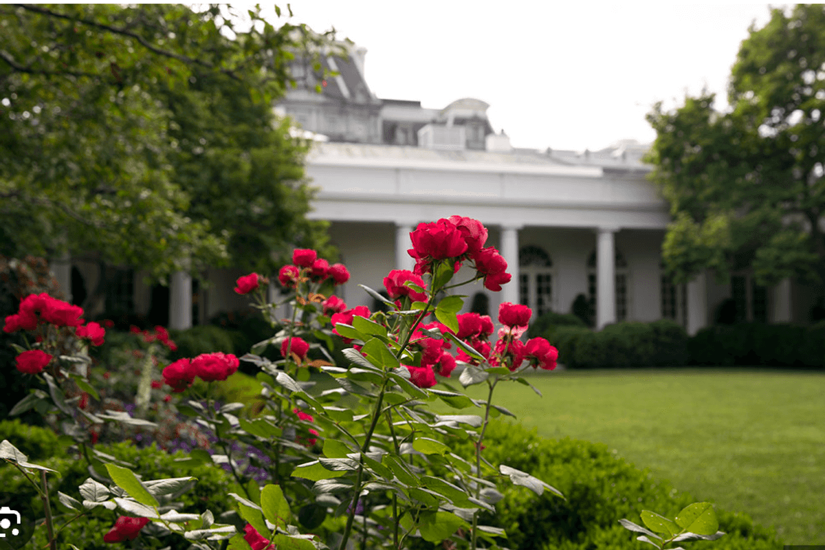 Trump Is Vandalizing The White House In Tacky Mar-A-Lago 'Style'