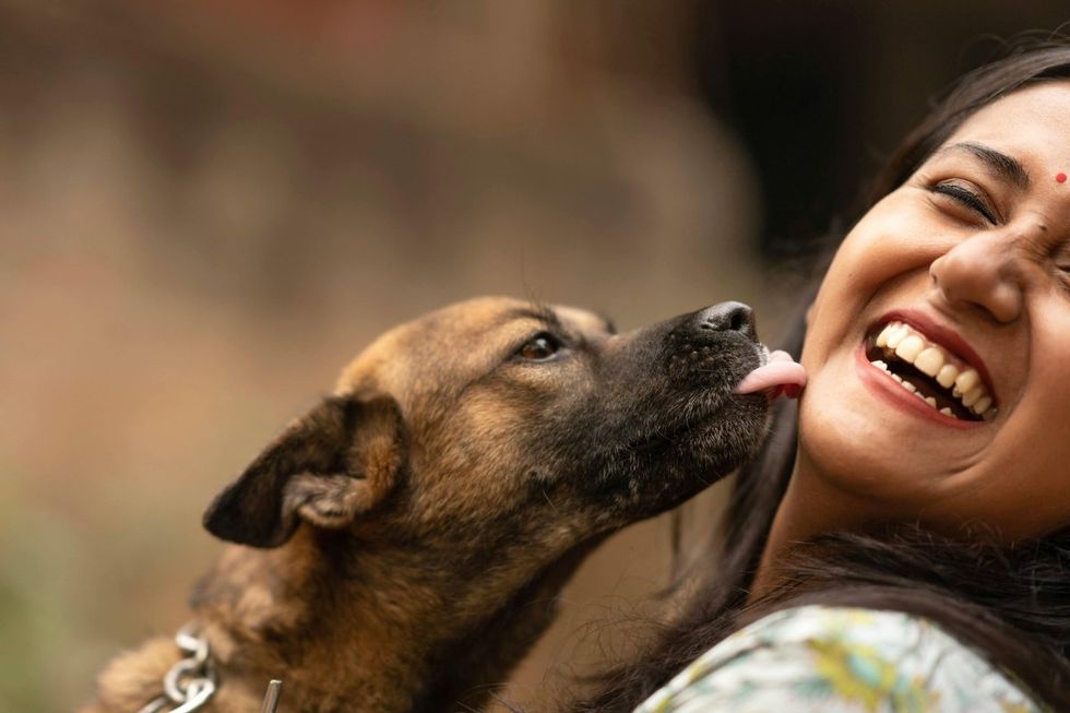 dogs, dog mouths clean, dog tongues, dog licking, should you let a dog lick your face