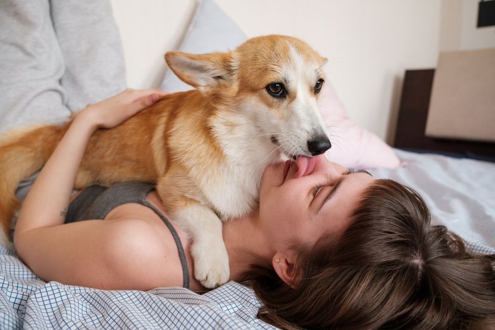 8th grader's award-winning experiment tested if dogs' tongues are really cleaner than ours