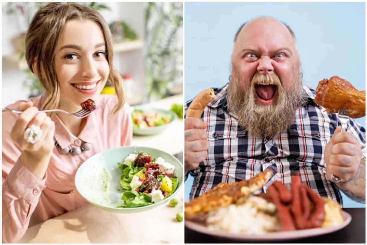 vegans, vegetarians, carnivores, meat eaters, judgement, food, animal rights