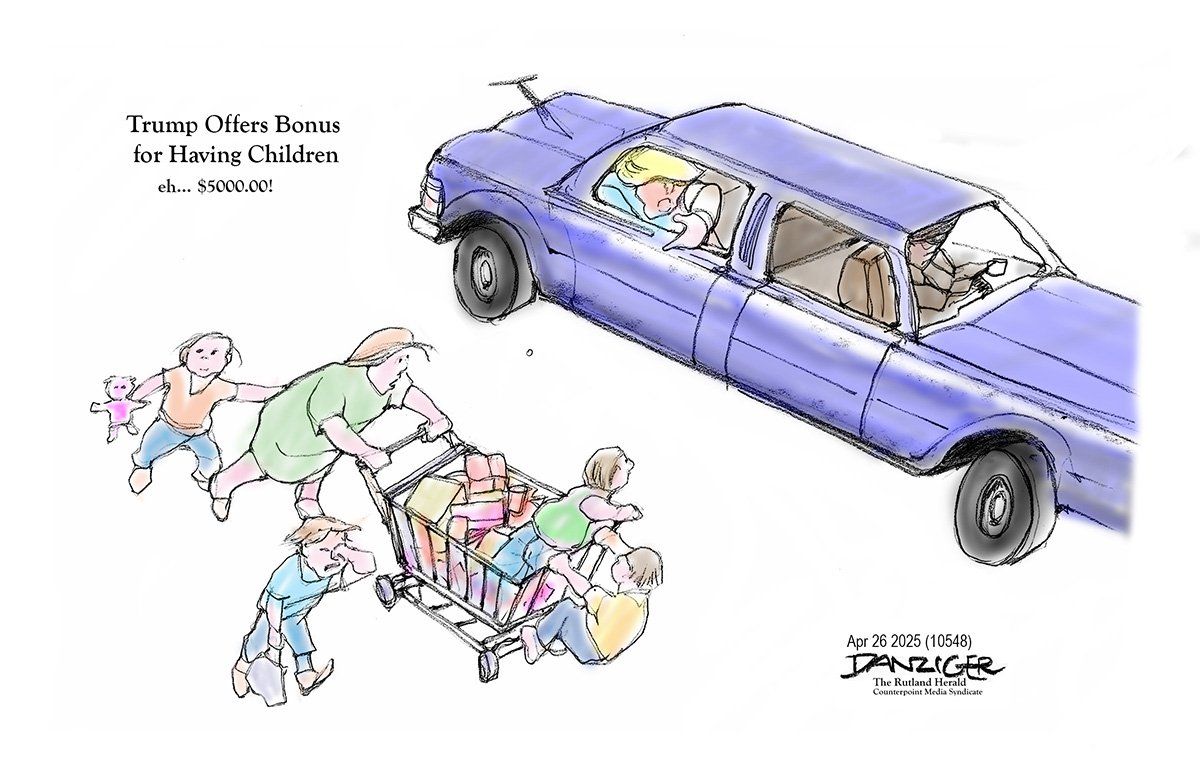 Danziger Draws