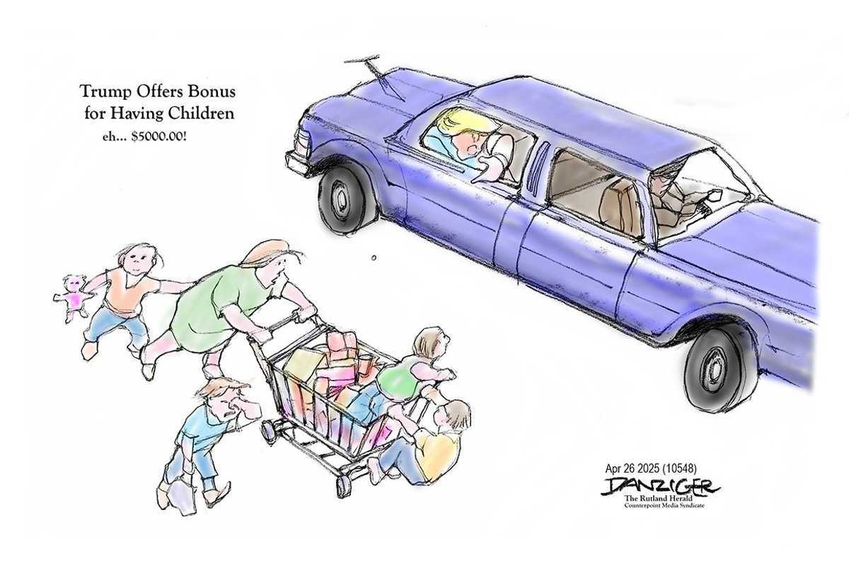 Danziger Draws