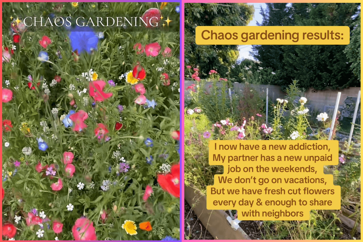 chaos gardening
