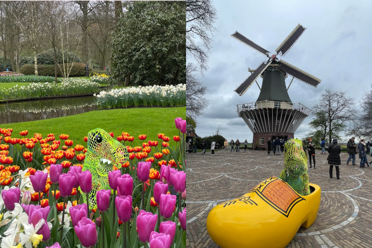 t-rex, lost toy, parenting tip, vacation, funny story