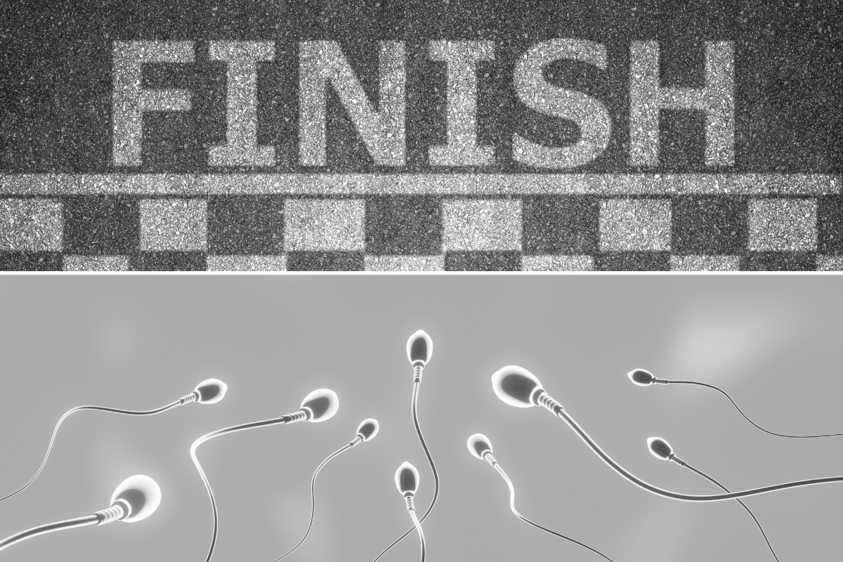 sperm, sexual health, fertility, infertility, men, men's health, mens fertility, sex