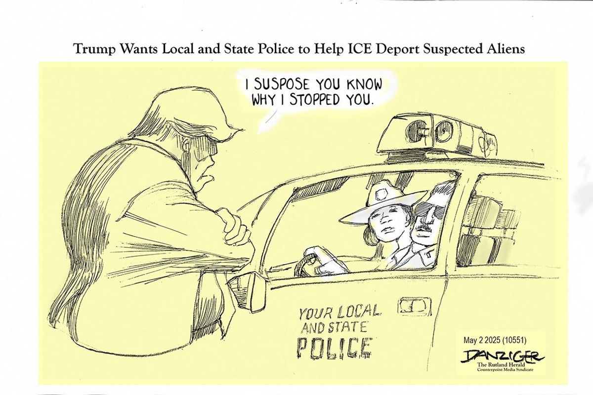 Danziger Draws