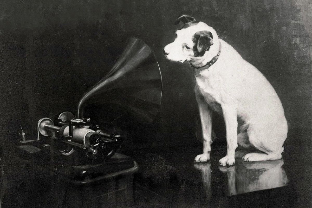 dog, listening, phonograph, language