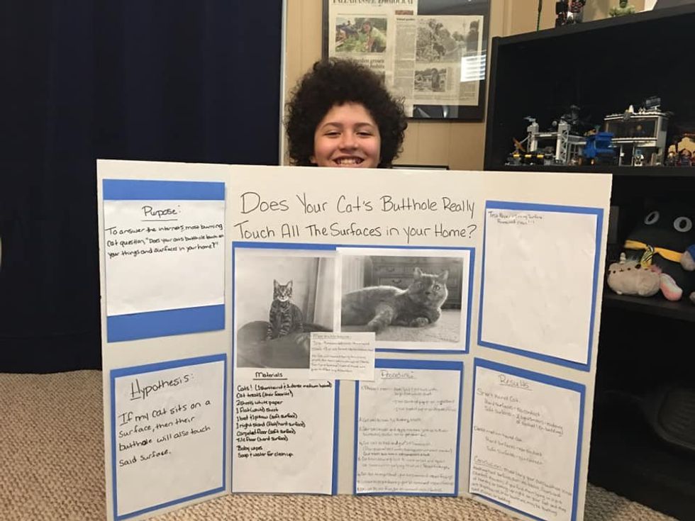 6th grader's science experiment answers, 'Do cat buttholes touch every surface they sit on?'