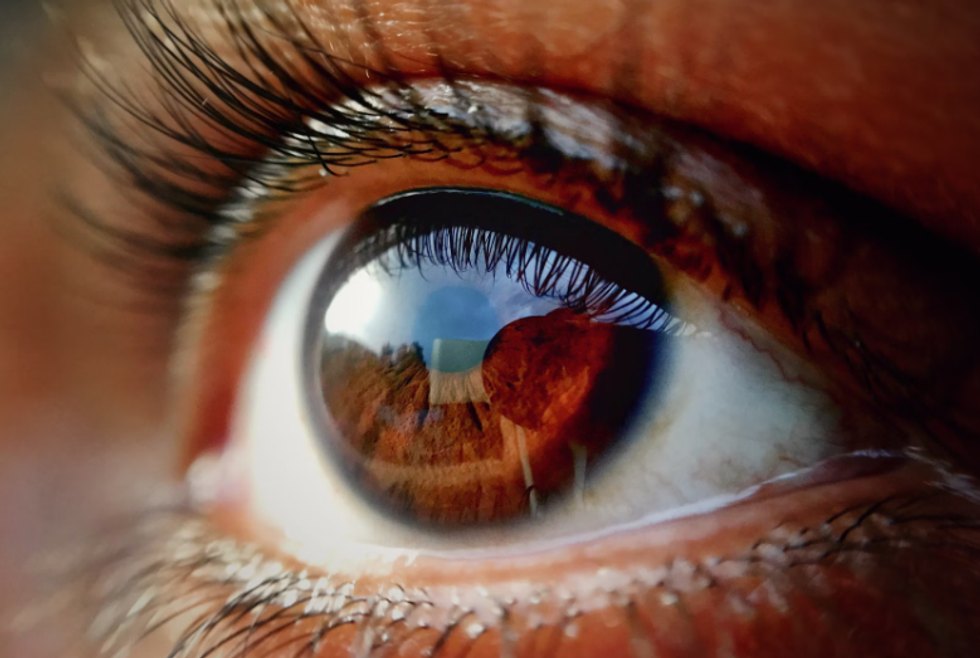 retinas, eyes, oz, retina scan, retina cones, vision, colors