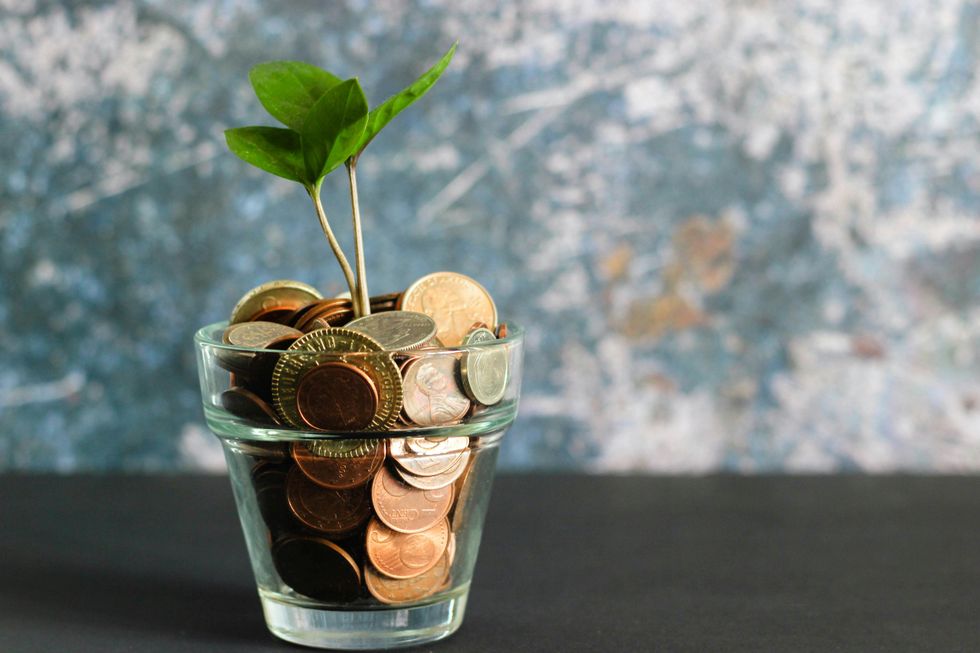 Money, tree, financial responsibility, independence, financial literacy