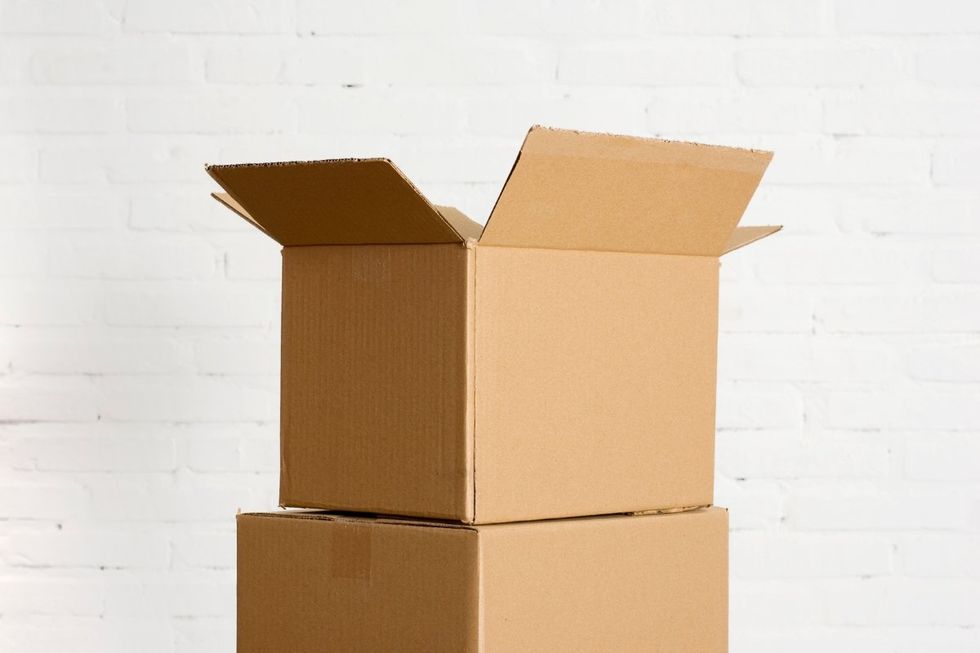 cardboard box, container garden, amazon box, growing vegetables, gardening