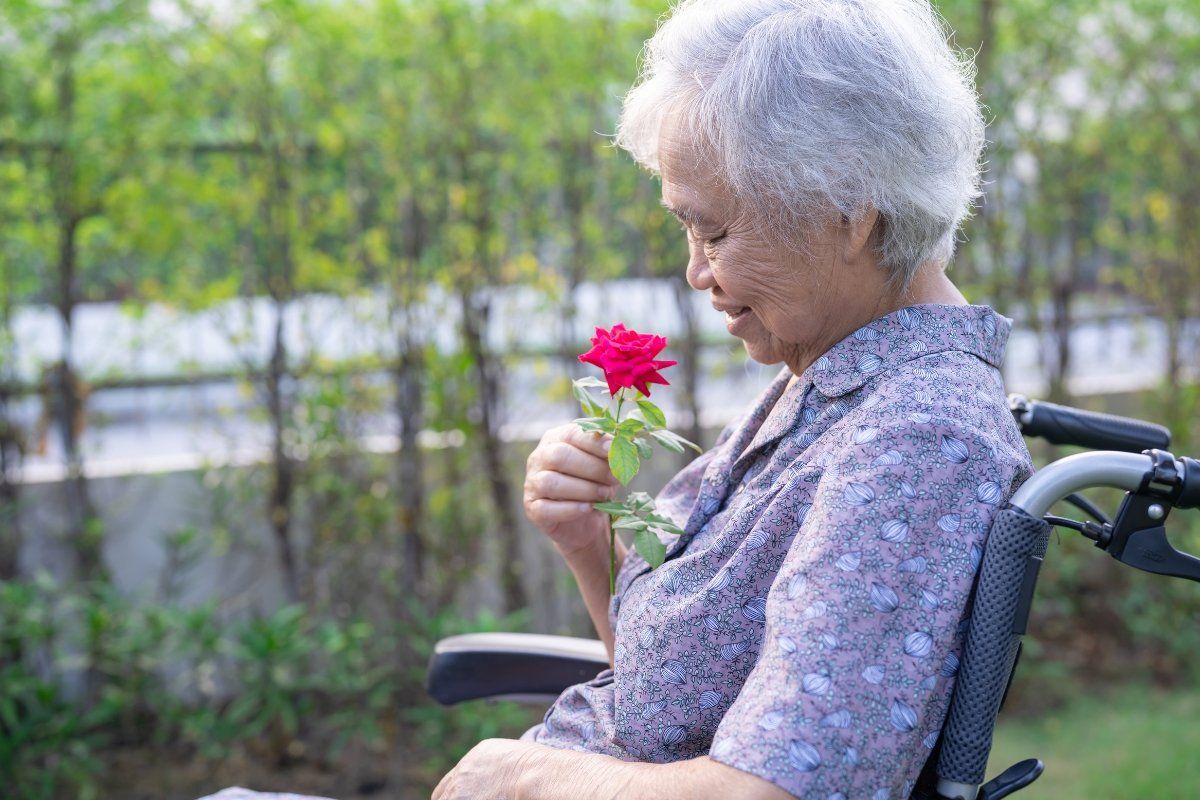 dementia, dementia care, alzheimer's disease, dementia village, the hogeweyk