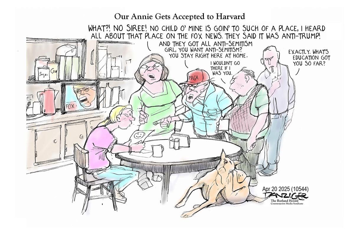 Danziger Draws