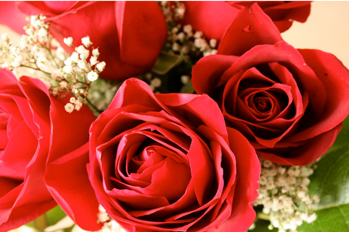 Sadly, Trump Tariffs Mean No Roses For Many Moms