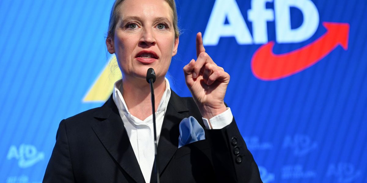 Germania Afd da Laverita.info germania afd si gode il suicidio del cordone sanitario