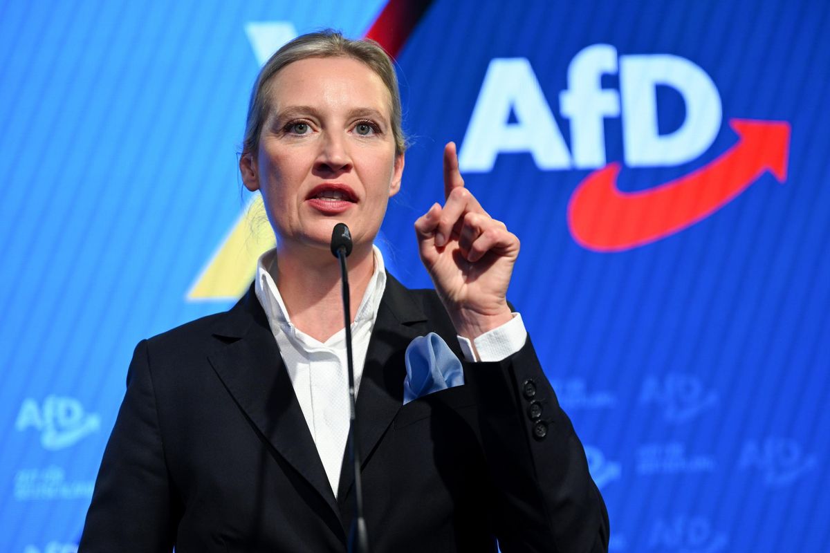Germania, Afd si gode il suicidio del cordone sanitario