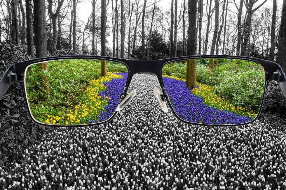 colors, colorblind glasses, black and white, blind person seeing colors, color concept