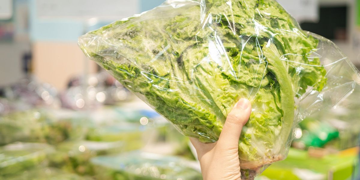Dal campo alla busta. L’insalata pronta (se ben conservata) ci semplifica la vita Dal campo alla busta. L’insalata pronta (se ben conservata) ci semplifica la vita