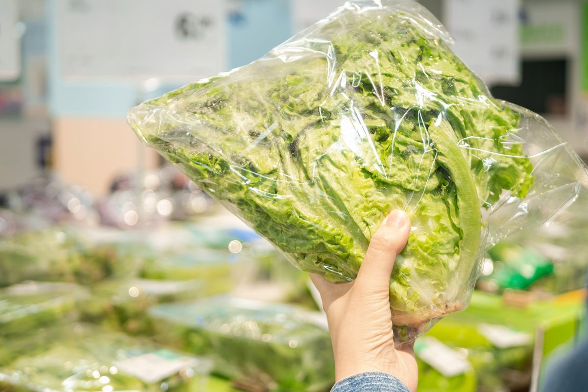 Dal campo alla busta. L’insalata pronta (se ben conservata) ci semplifica la vita