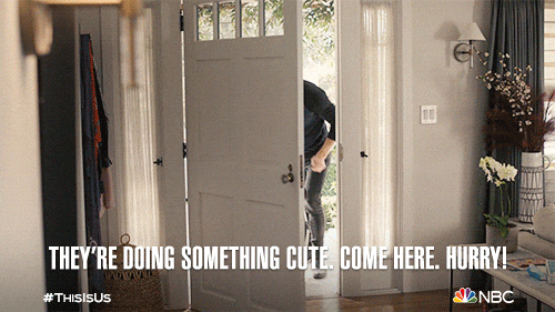 parents, parenting, dad, babies, gif