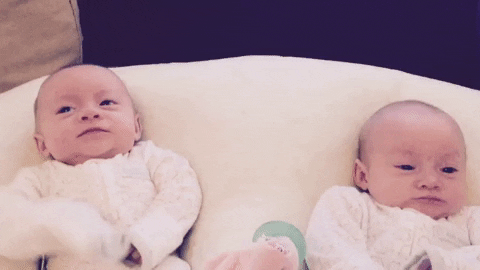 identical twins, babies, twin mix-up, twin swap, parenting