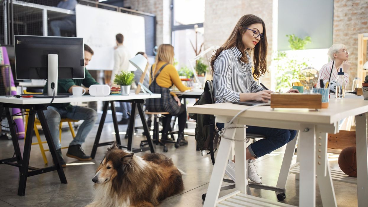 i cani in ufficio sono ancora un mezzo tabù ma con fido a fianco lavoriamo tutti meglio