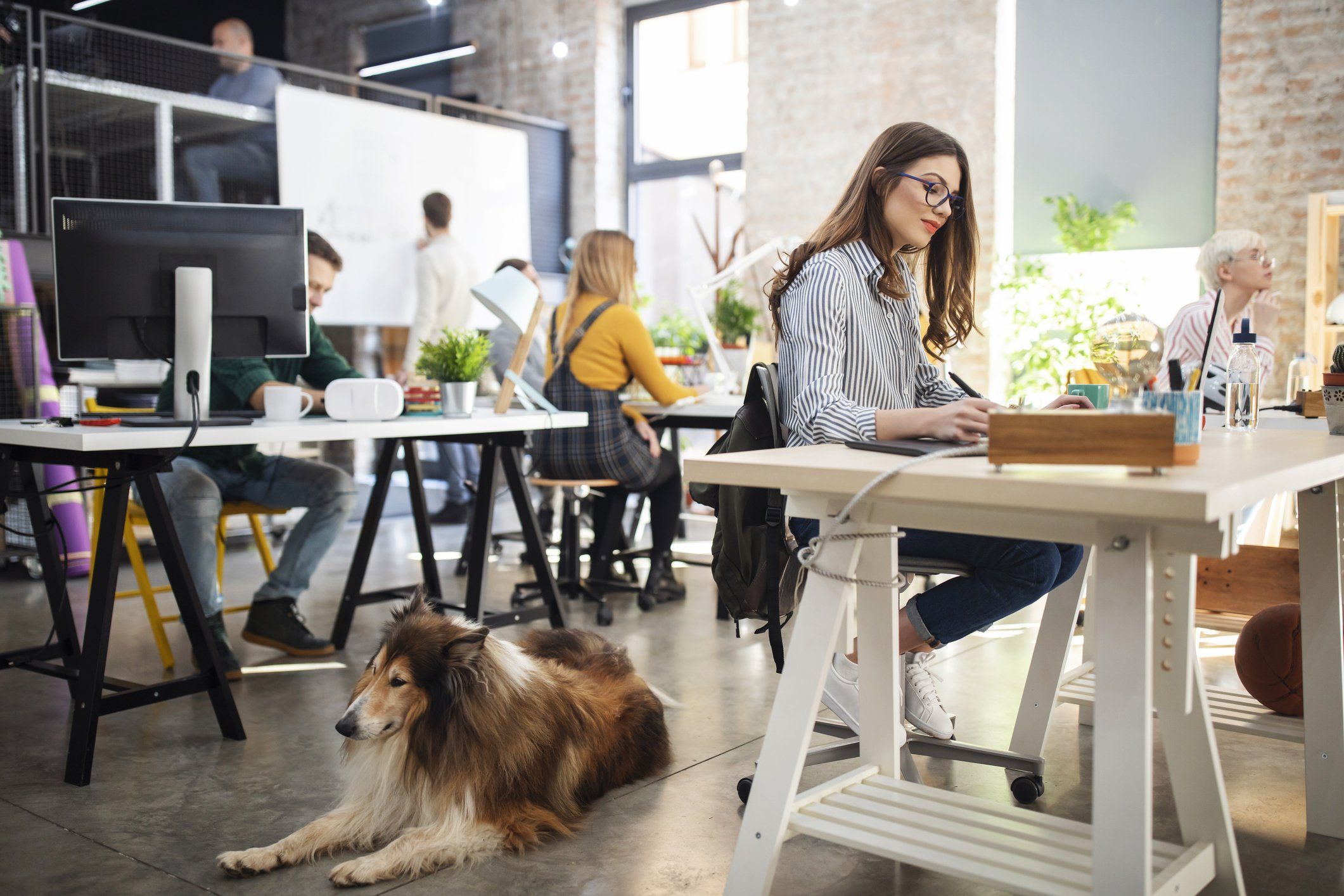 I cani in ufficio sono ancora un mezzo tabù. Ma con Fido a fianco lavoriamo tutti meglio